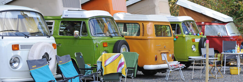 Historische Campingbusse bei Campingbusstreffen
